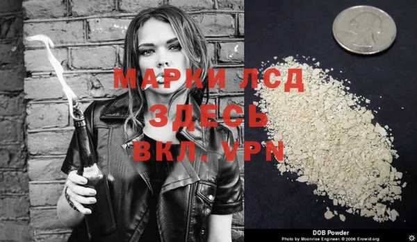 сатива Вязники