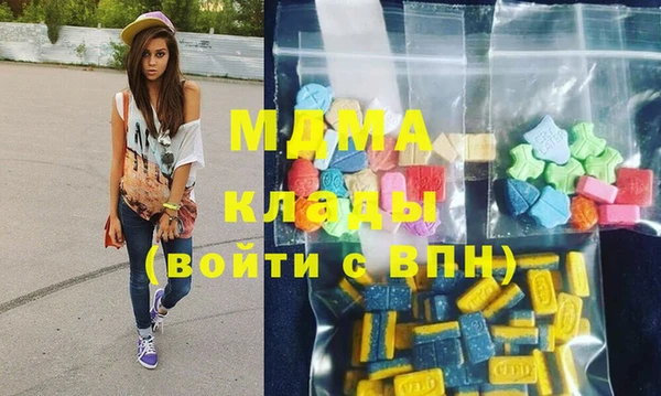 гидра Вяземский