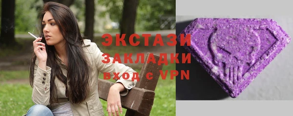 гидра Вяземский