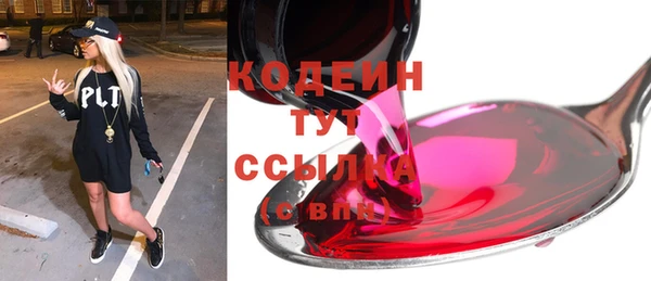 гидра Вяземский