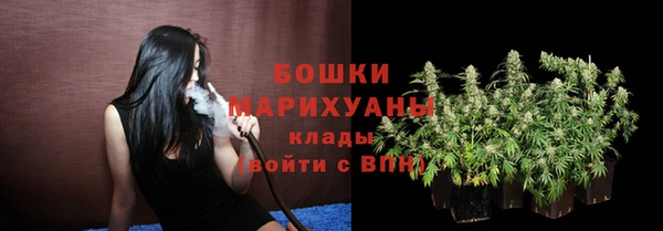 сатива Вязники