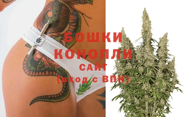 сатива Вязники