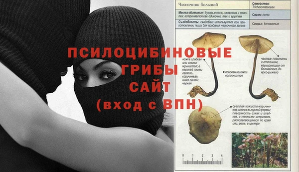 синтетический гашиш Вязьма