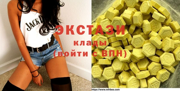 гидра Вяземский