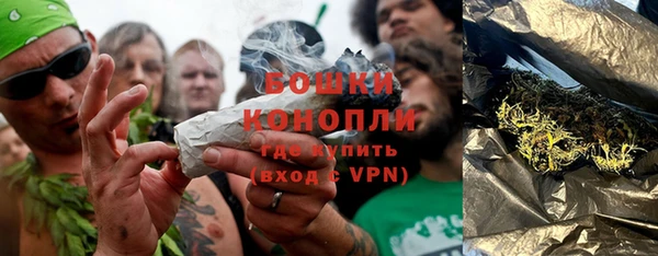 сатива Вязники
