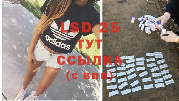 гидра Вяземский