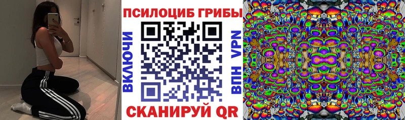 Псилоцибиновые грибы Cubensis  Купить закладки  Сураж 