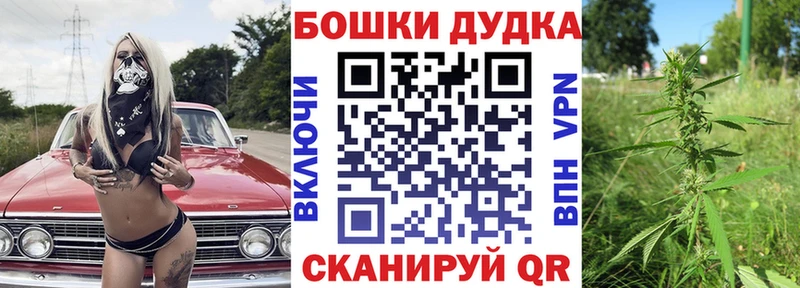Купить где  Сураж  Каннабис план 